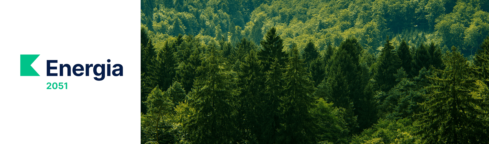 Baner energia 2051
