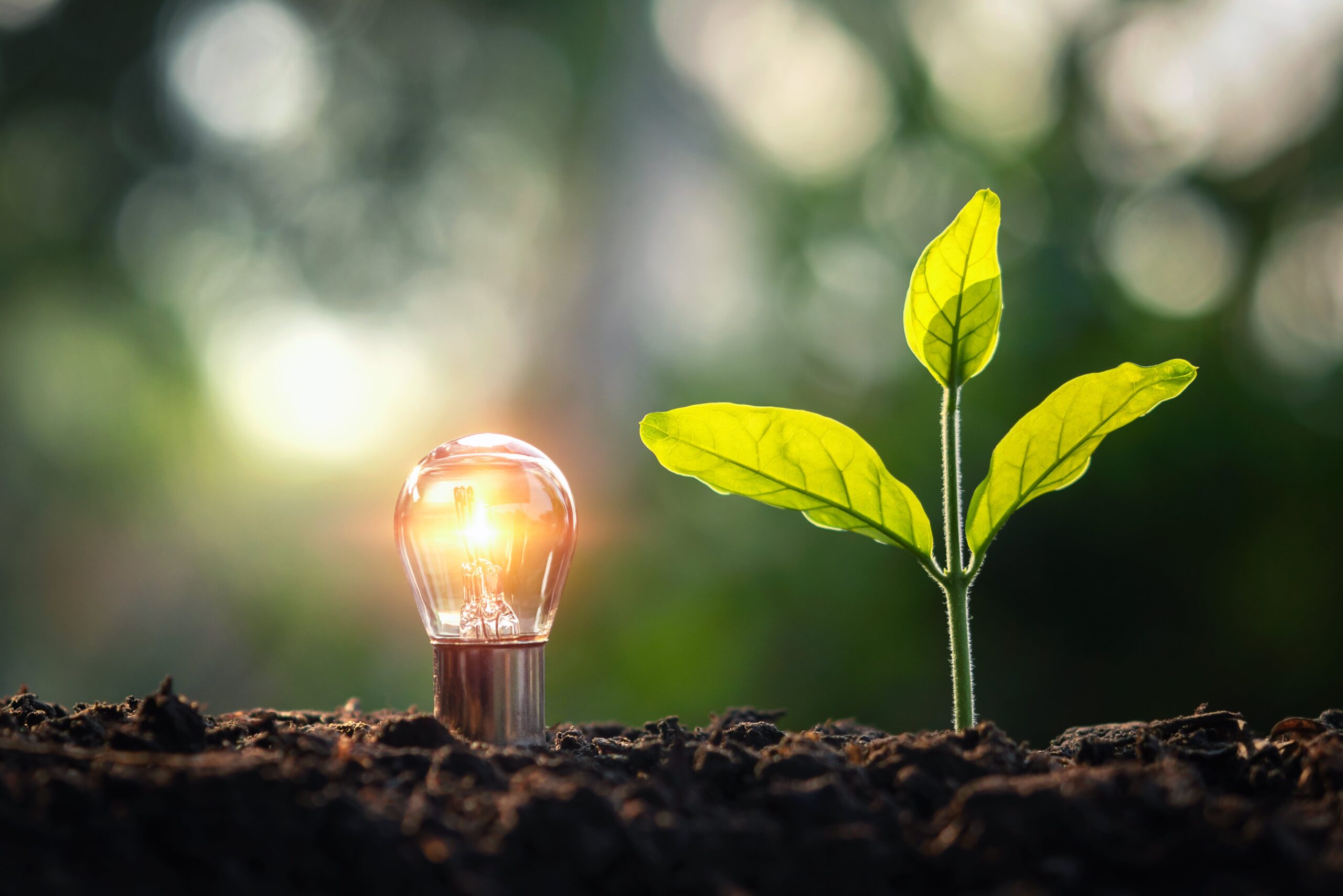 Energia a zmiany klimatu