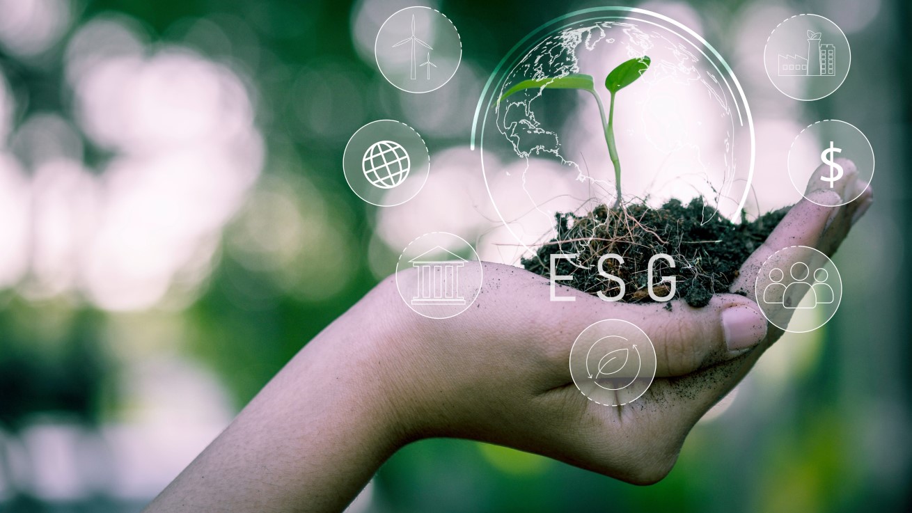 Strategia ESG